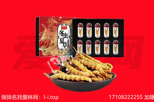 德兴市回收虫草.jpg